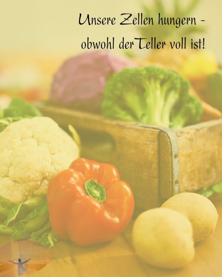 Unsere Zellen hungern - obwohl der Teller voll ist!