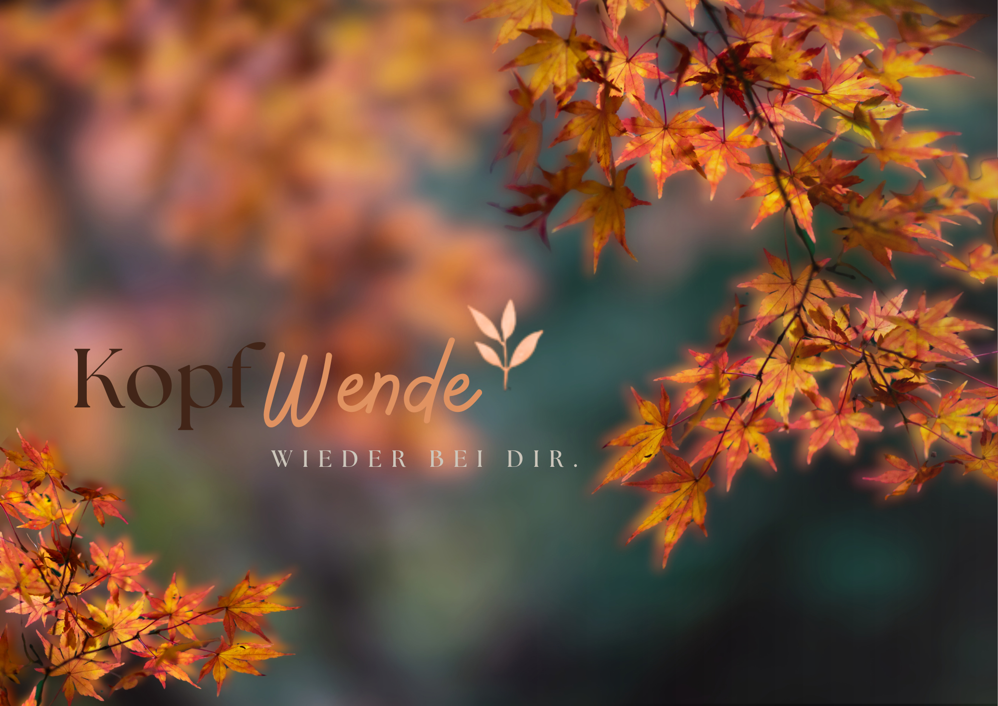 kopfwende-headder